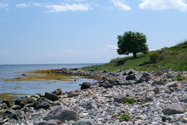 Naturstrand bei Klausdorf